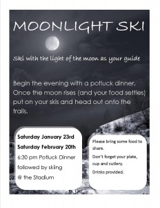 Moonlight Ski Poster